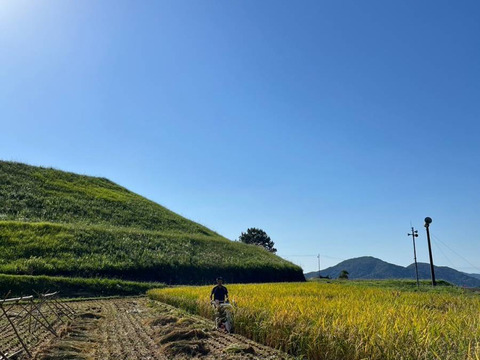 生活排水なしの一番水　自然栽培米あきたこまち9㎏【精米】