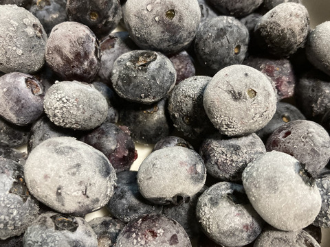 【冷凍】旬の甘みをそのまま急速冷凍！大粒プレミアム冷凍ブルーベリー（250g×2 パック）【栽培期間中農薬不使用】ハイブッシュ／ラビットアイ系