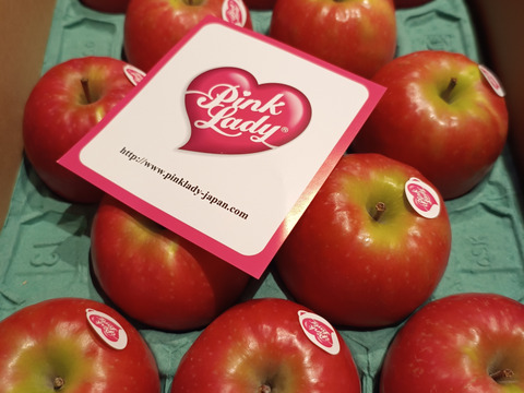 キュンとくる酸味りんご❗　ピンクレディー®（12個から16個）箱含め3キロ