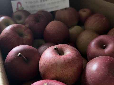 加工用りんご🍎10キロ
