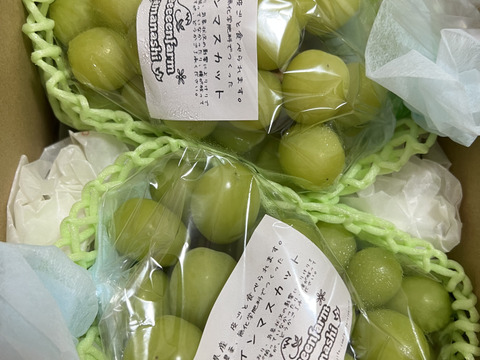 【朝どれ】【9月からお届け:1kg以上！】シャインマスカット 1kg箱