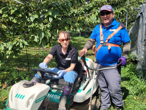 太陽の陽をたくさん浴びた西洋梨　ラ・フランス及びシルバーベル　２ｋｇ