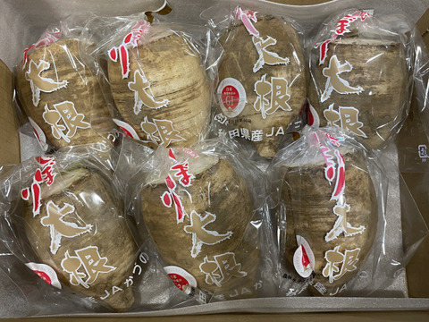 今が旬！年越し蕎麦に！うま辛い!風味が豊かな辛味大根【松館しぼり大根】Sサイズ★(1Kg)