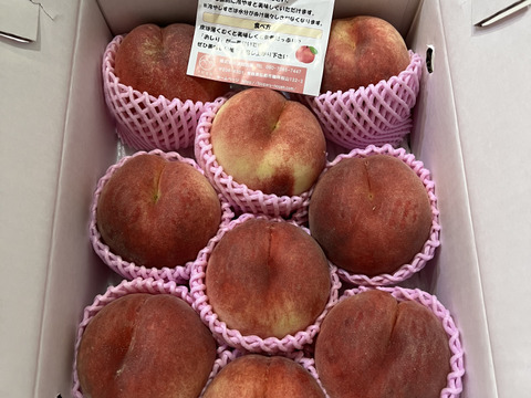 🍑さくら白桃　3kg 8～14玉　9月上旬発送　希少な桃　【ASIAGAP認証農場：津軽農園】　安心・安全な桃　収穫した日に発送　家庭用　農家直送【朝どれ】