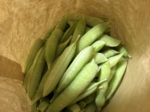 予約販売【自然栽培】グリンピースとひと味違う「うすいえんどう」(2kg)