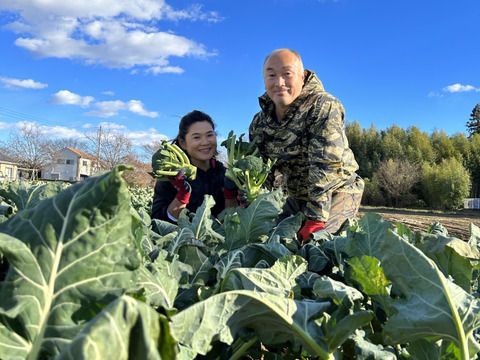 今が旬！初物ブロッコリー栄養満点深谷産♡