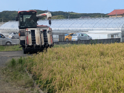 【令和７年新米】新米コシヒカリ【１０ｋｇ】千葉県南房総市産