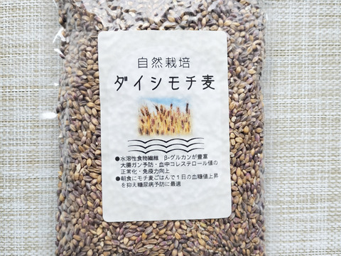 【ダイシモチ麦・もちきびセット】栄養と健康維持に！ダイシモチ麦　３００ｇ×１　もちもち食感と自然の甘さ！もちきび　300g×1P　【ポスト投函・平袋】自然栽培