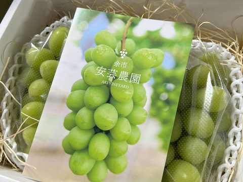 《大人気商品》秀品規格 農薬５０％カット栽培 ＋ 化学肥料未使用！　北海道産シャインマスカット