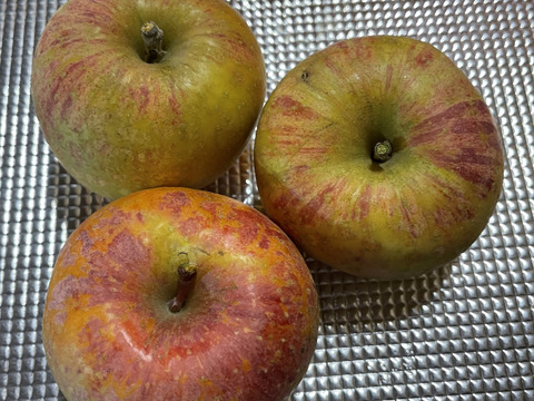 完熟蜜入り！？☆太陽の光を浴びた、こだわりサンふじ☆家庭用企画