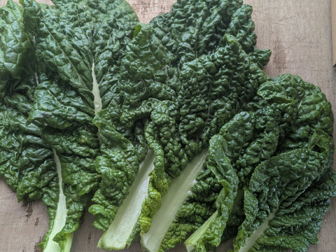 2026年　お正月お迎え野菜セット