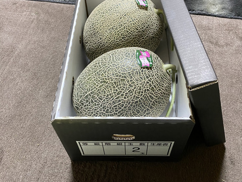 驚く甘さ！　驚く大きさ！ジューシー！　熊本県産肥後グリーンメロン　2玉入り　4kg以上