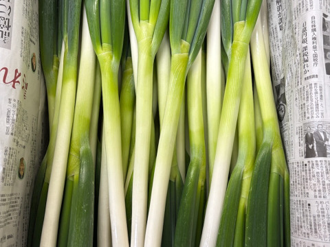 季節のお野菜６品セット