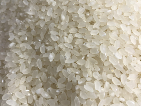令和4年度産白米こだわりのコシヒカリ2kg(1等米)
食味値80点以上