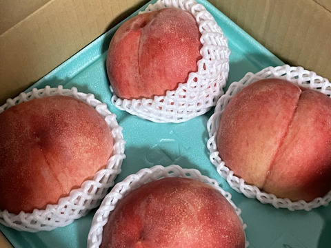 『夏ギフト』なつっこ🍑高糖度で硬めの桃✨朝採りその日に発送します