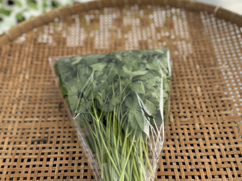 【限定】イタリアンパセリ100gディル30gルッコラ200gお料理で大活躍‼️アクアポニックス野菜🐟