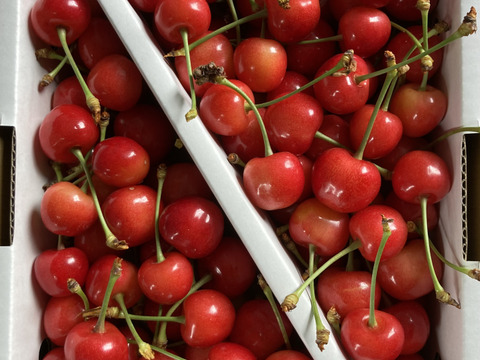 🍒さくらんぼ佐藤錦🍒秀品Lサイズ　1キロ　バラ詰め