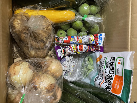 楽天市場】【ふるさと納税】石垣島産 野菜 BOX 1箱 ≪定番・旬の