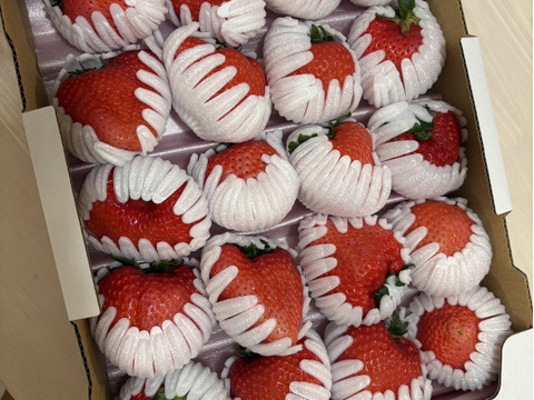 【数量限定】大きすぎてゴメンなさい！不揃いイチゴ