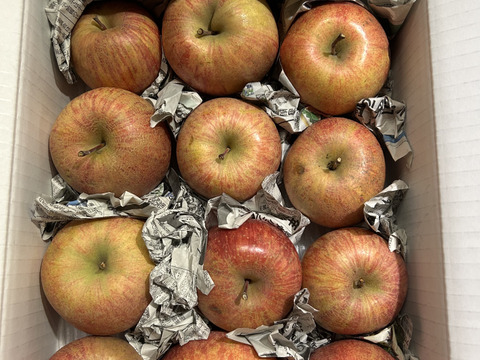 食べちょくアワード入賞記念　500円割引中❣　まるせい果樹園のサンふじ　訳あり　自家用　家庭用　3キロ rf7