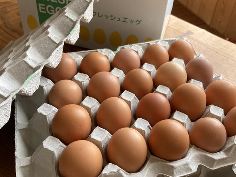 【北海道平飼い自然卵】純国産鶏もみじ40個入り（36個＋破卵補償分4個含む）