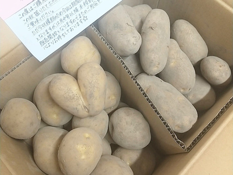 新じゃが🥔食べ比べセット❗️【メークイン】2.5kg 【とうや】2.5kg合計5kg 3日間限定販売☆