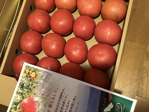 【訳有り品】キズあり不揃いトマト約3.6キロ