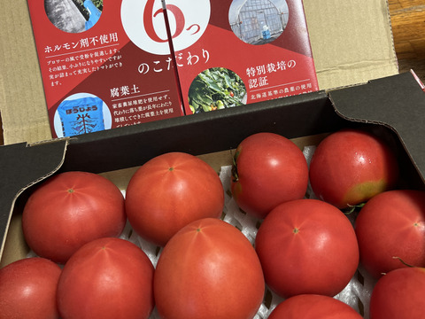 北海道産】🍅樹上熟3段採り🍅桃太郎トマト2kg箱〈規格外品