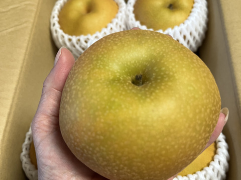 【南水２ｋｇ】糖度15°、超甘い、シャリ感、硬い、ジューシー、日保ちする信州生まれの優れもの！⑤【秀品】