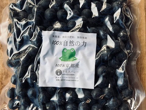京都産　自然栽培丹波黒大豆（黒豆）600g（200gx3）
【完売、来期新豆販売開始は令和6年初旬予定】