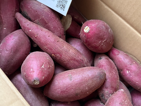 令和7年産定温貯蔵で熟成しました!!　甘くてしっとり♡　阿蘇小国のシルクスイート（４ｋｇ）