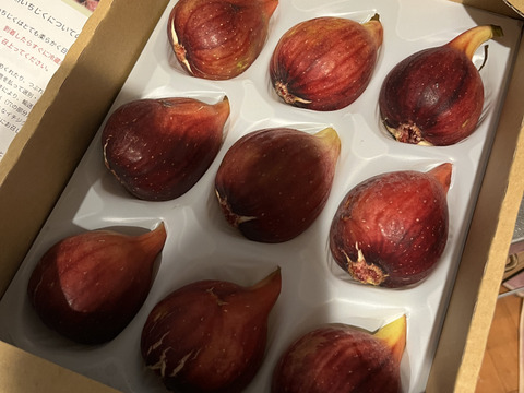 【専用箱入り】ふんわり柔らか朝どり完熟いちじく