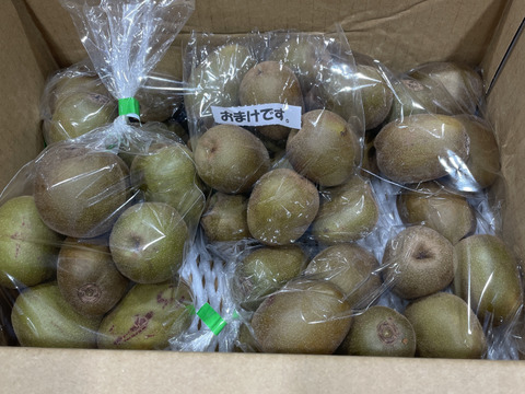 【もうすぐ終了】希少品種！甘くて美味しい🥝レインボーレッド🥝２ｋｇ　小玉～中玉