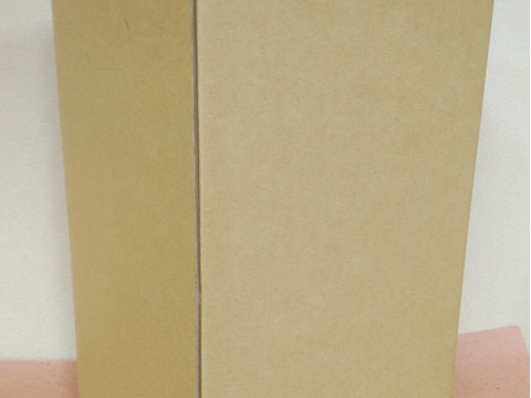 【父の日ギフト】訳ありでお得！【金の蜜】旬の桃とりんごを閉じ込めた、ジュースセット（サンふじ）