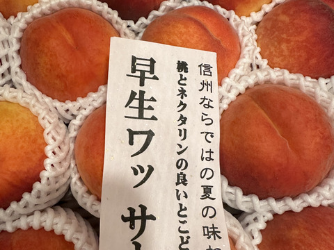 ワッサー　大家族様向き　　信州ならではの桃　訳あり　ご家庭専用コース　4.5キロ　予約受付中　8月上旬収獲・発送
