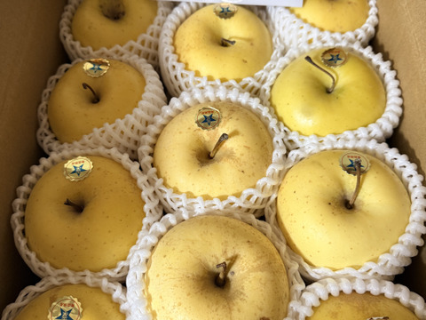 青森県産りんご 出回ってない珍しい希少品種
「限定１０セット」極み甘み雪完熟金星　9個～11個入り