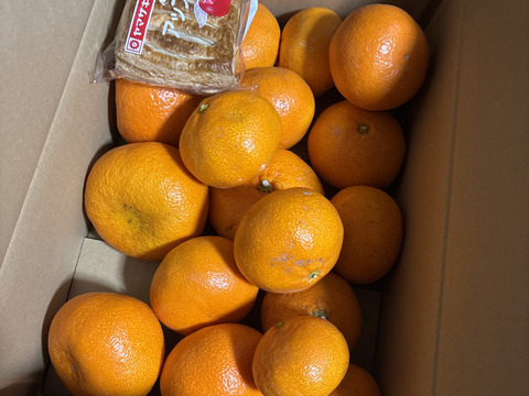 【訳あり】完熟早生みかん　5㎏