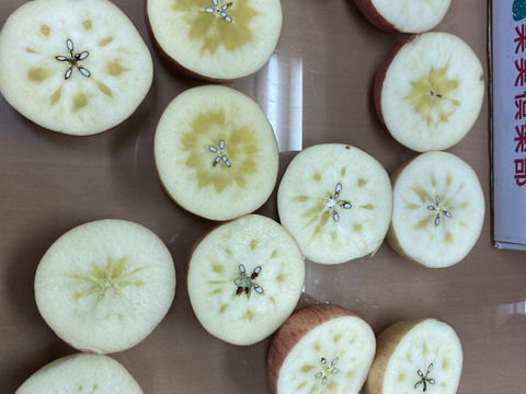 すぐ発送！5キロ 16-20 蜜入チェック済！樹上完熟蜜入葉取らずサンふじ　農薬半減栽培で安心安全