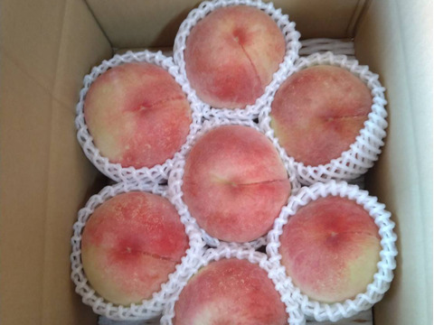 朝もぎ、当日発送！！
甘み、香りの【みさか白鳳】桃🍑２㌔（６〜８個）