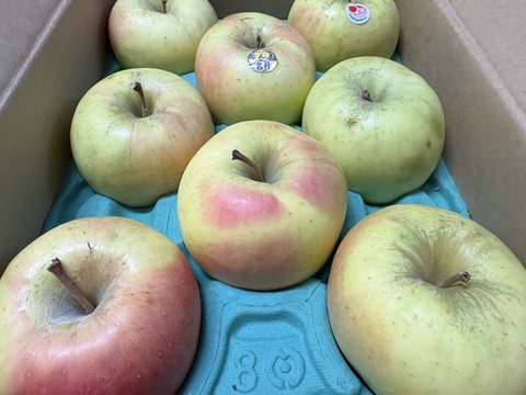 青森県産　ぐんま名月　家庭用　約３キロ　女性に人気の、甘~いりんご　農家直送　最終セール中