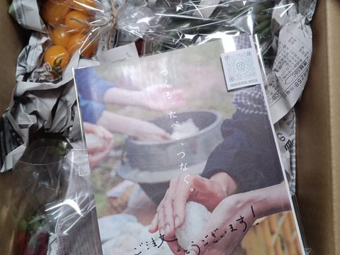 【お試しサイズ】山のミネラルたっぷり！ソノちゃんのこだわり野菜セット6〜7種