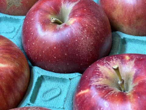 残り20ケース🍎お菓子作り用🥧✨訳あり品 紅玉 5キロ箱 商品ID96210