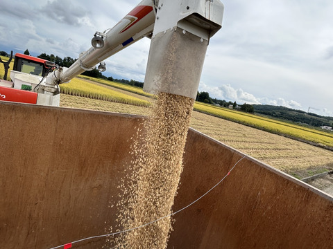 令和7年産　山形県産　はえぬき　４kg