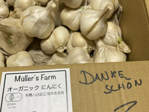 幸せ島育ち！✨有機野菜を食べて育った平飼い有精卵　30個　Happy Eggs