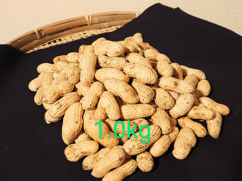 栽培期間中農薬化学肥料なし】おおまさり 生落花生 1.0kg 3.0kg：千葉