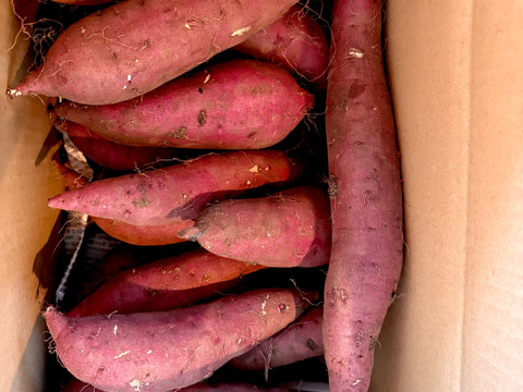【農薬化学肥料・除草剤不使用】1本100〜300g🍠1番食べやすいサイズ😋10kg🎁北海道産🍠紅はるか🍠甘いサツマイモ🍠