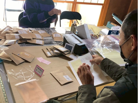 明日葉茶　ブレンド　70g 葉っぱ50%✖️茎50%