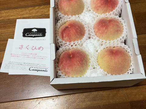 家庭用】夏を先取り！6月下旬～7月中旬の岡山の桃 小箱4～6玉