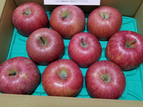 皮ごとガブっと食べられる　サンふじ　青森りんご（３kg）