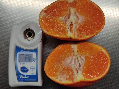 甘平　 家庭用Ｂ品　4キロ